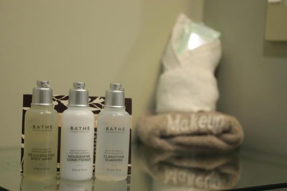 Access 1-Bedroom Apartment: toiletries